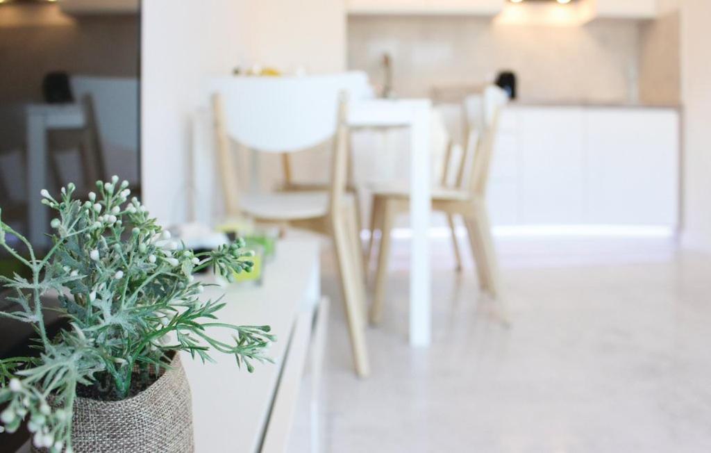 דז'יבנובק Apartament Baltic Marina מראה חיצוני תמונה